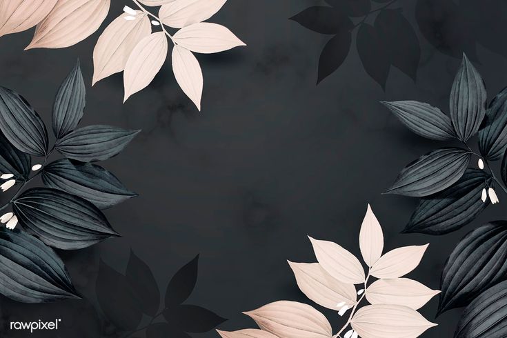 Memorial photo 5 of 5 for kamal jayaweera